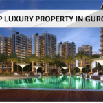 Luxury Property in Gurgaon