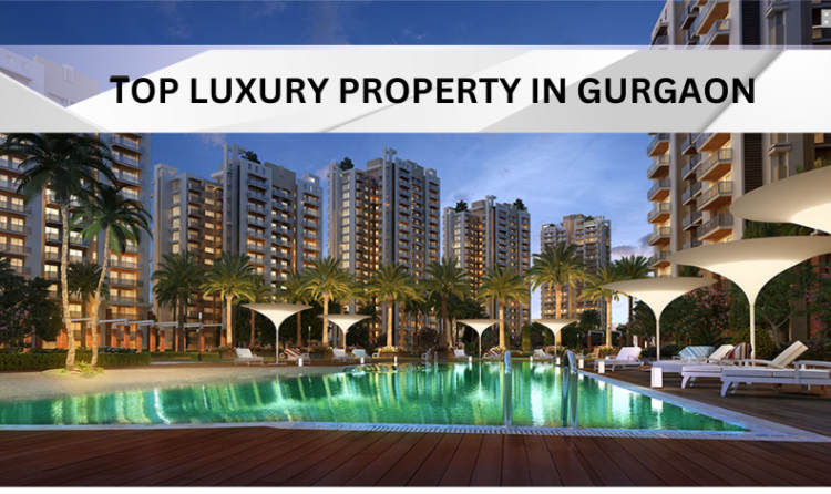 Luxury Property in Gurgaon