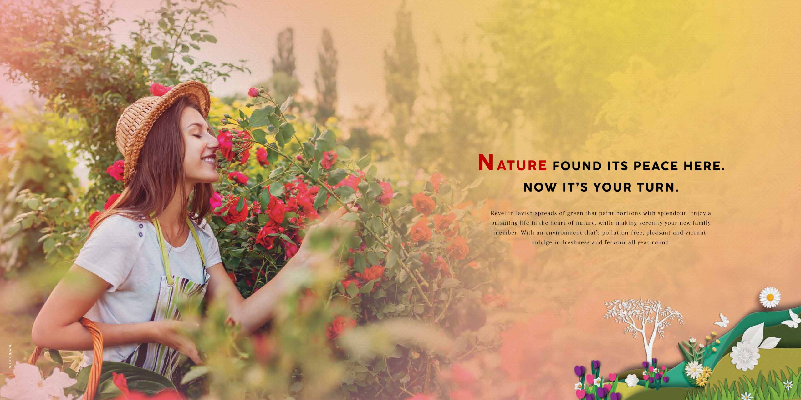 SG Daxin Gurgaon – Residential Township on Gurgaon–Sohna Elevated Road