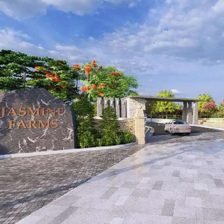 Jasmine Farms